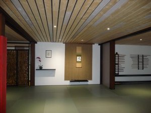 dojo3